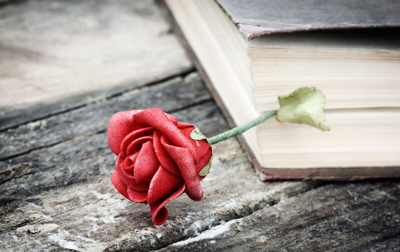 Red Paper Rose — Calm