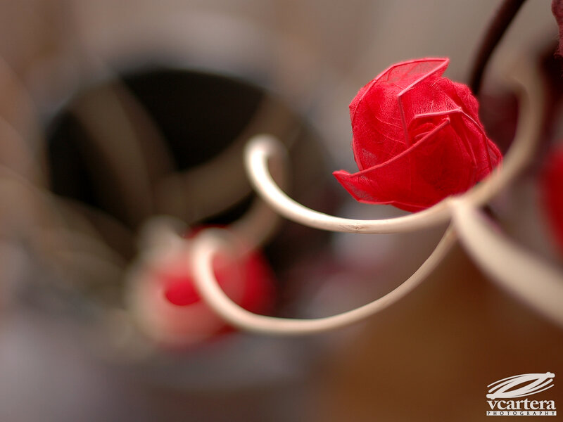 Red Paper Rose