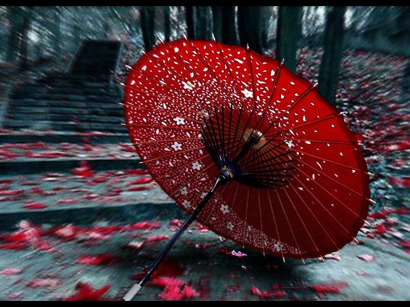 Red Parasol on Ground
