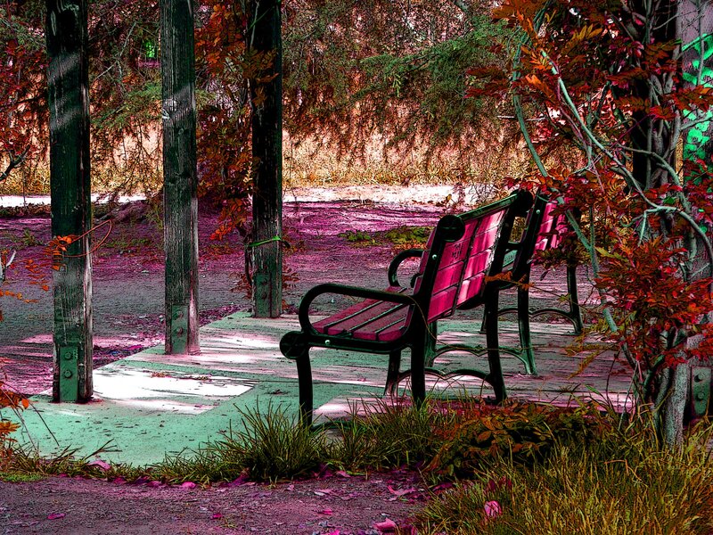 Red Park Bench