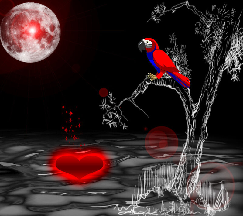 Red Parrot on Tree