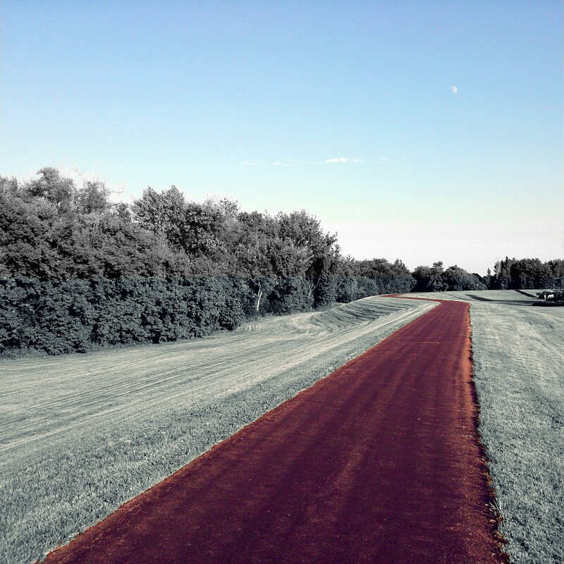 Red path through grassy field