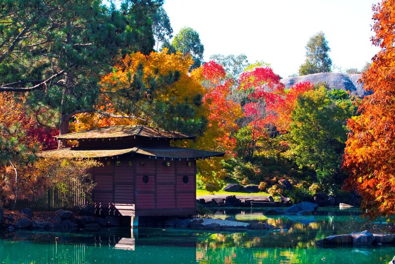 Red Pavilion in Autumn