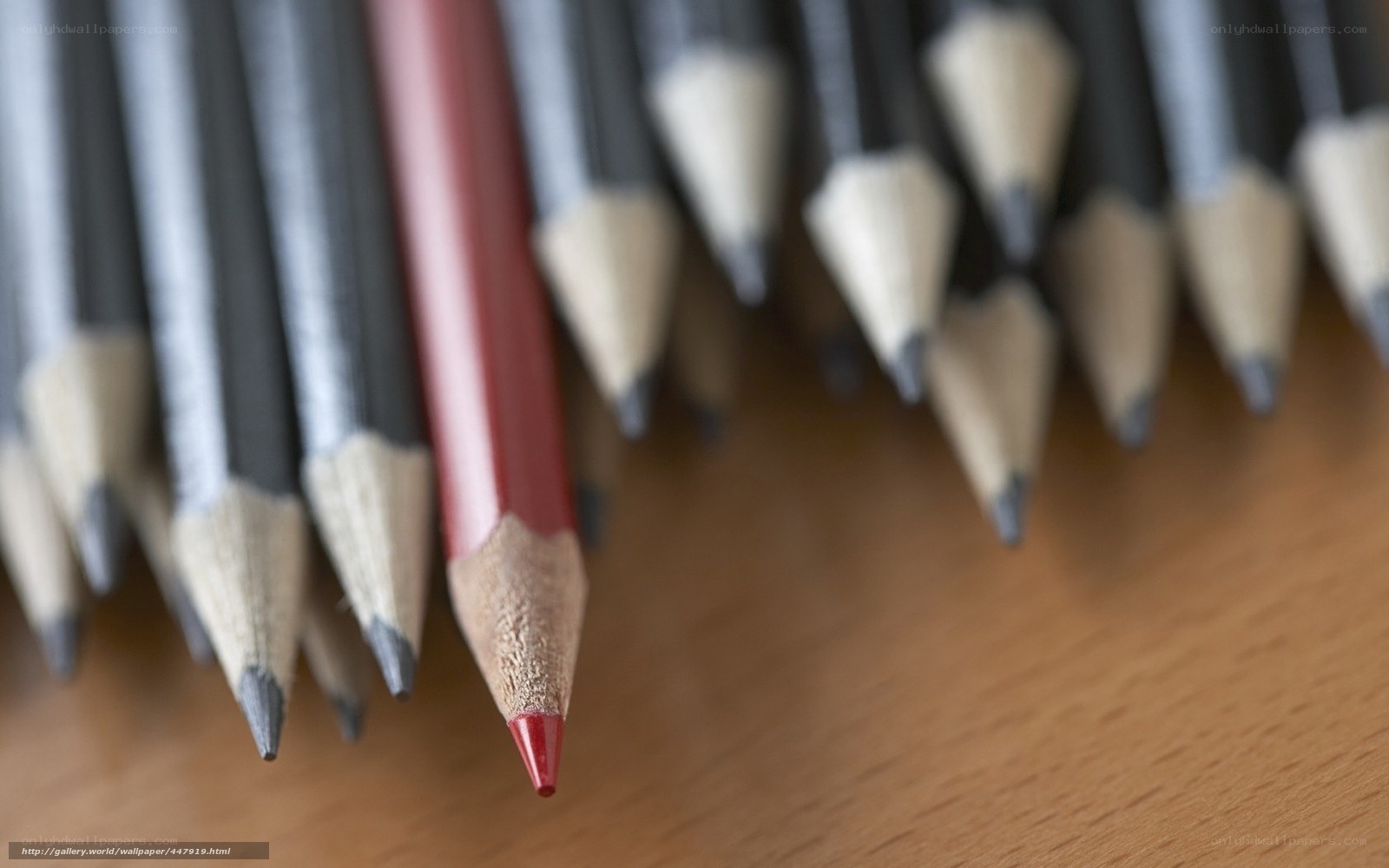 Red pencil among black pencils