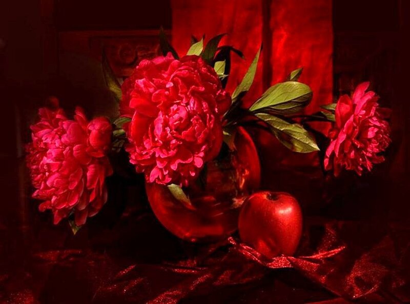 Red peonies and apple still life