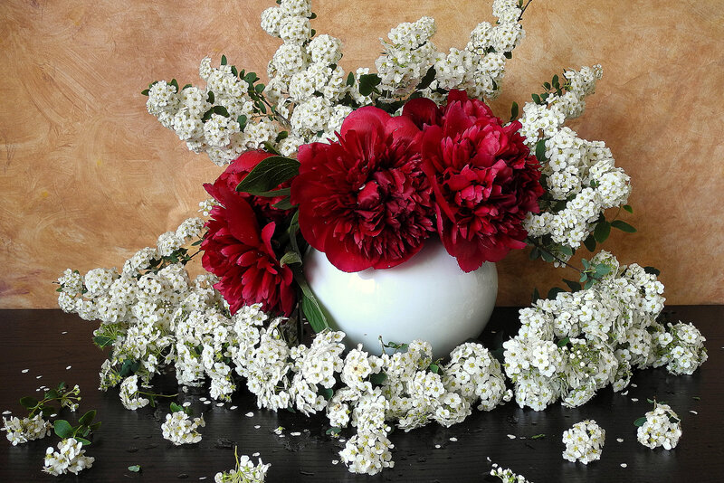 Red Peonies and White Flowers — Calm, Photograph