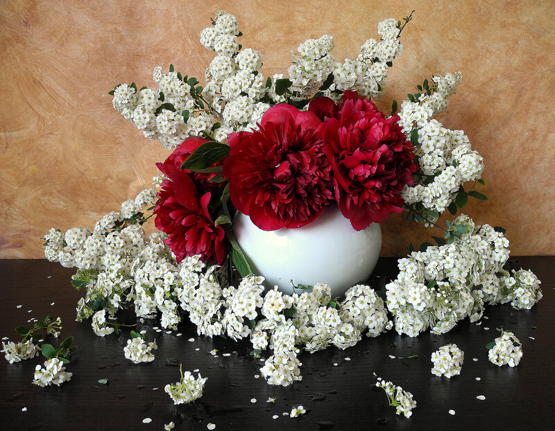 Red Peonies and White Flowers — Calm