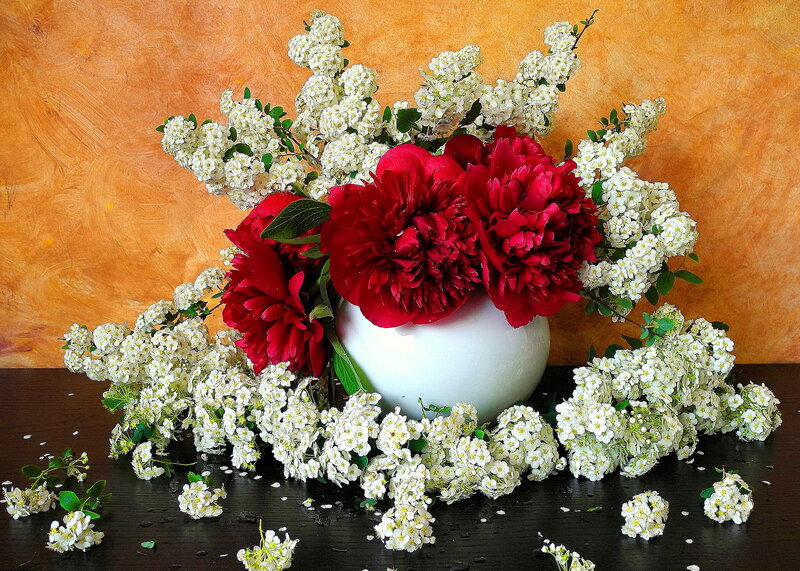 Red Peonies and White Flowers
