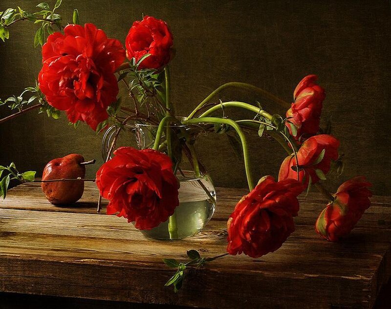 Red peonies in a vase