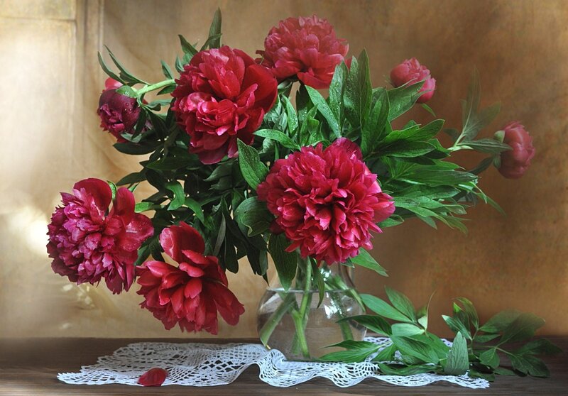 Red Peonies in Vase — Calm, Photograph