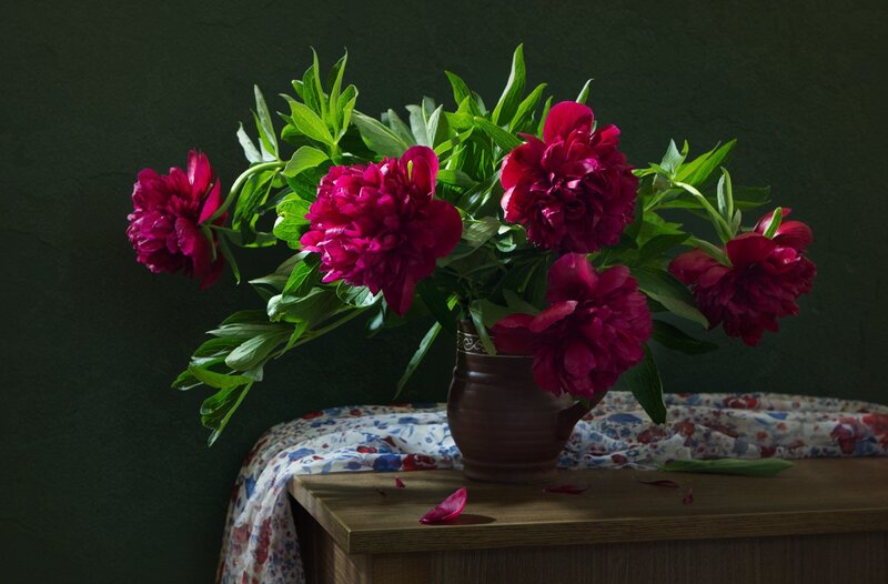 Red Peonies in Vase — Dramatic, Photograph, Table