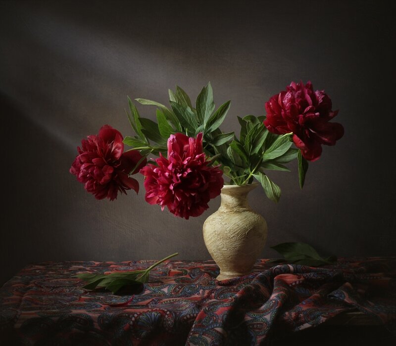 Red Peonies in Vase — Dramatic, Photograph, Tablecloth, Leaves
