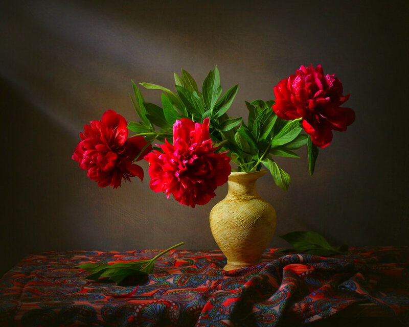 Red Peonies in Vase — Dramatic, Photograph, Tablecloth