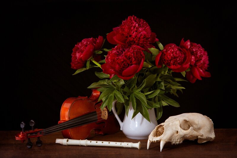 Red Peonies in Vase — Dramatic, Photograph, Violin