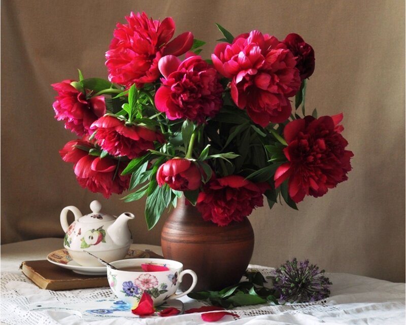 Red Peonies in Vase — Serene, Photograph