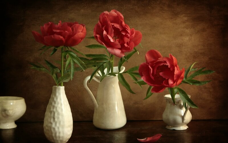 Red Peonies in Vases