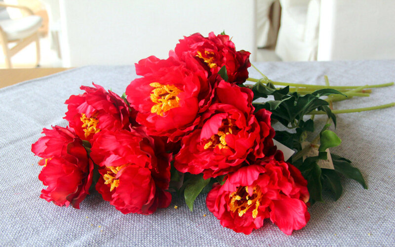 Red Peony Flowers — Calm, Photograph