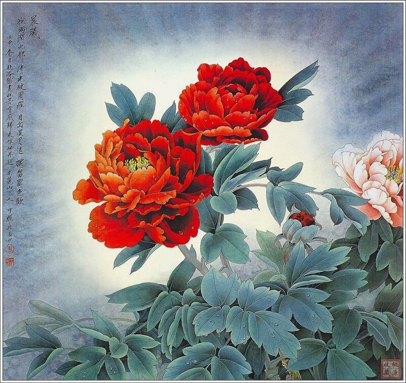 Red Peony Flowers — Serene, Morning