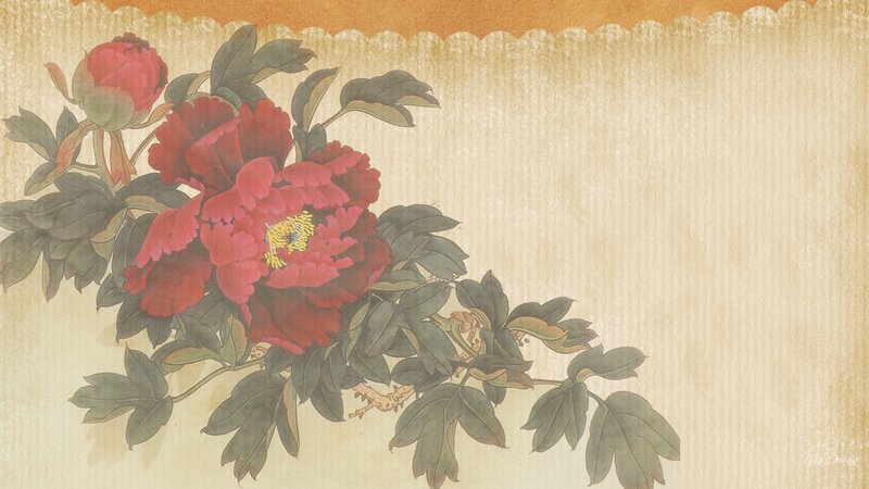 Red Peony Flowers — Serene