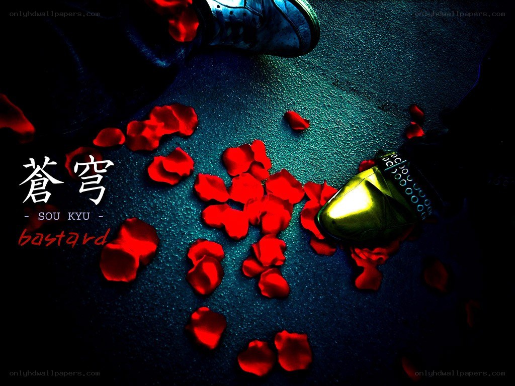 Red petals and shoes on dark ground