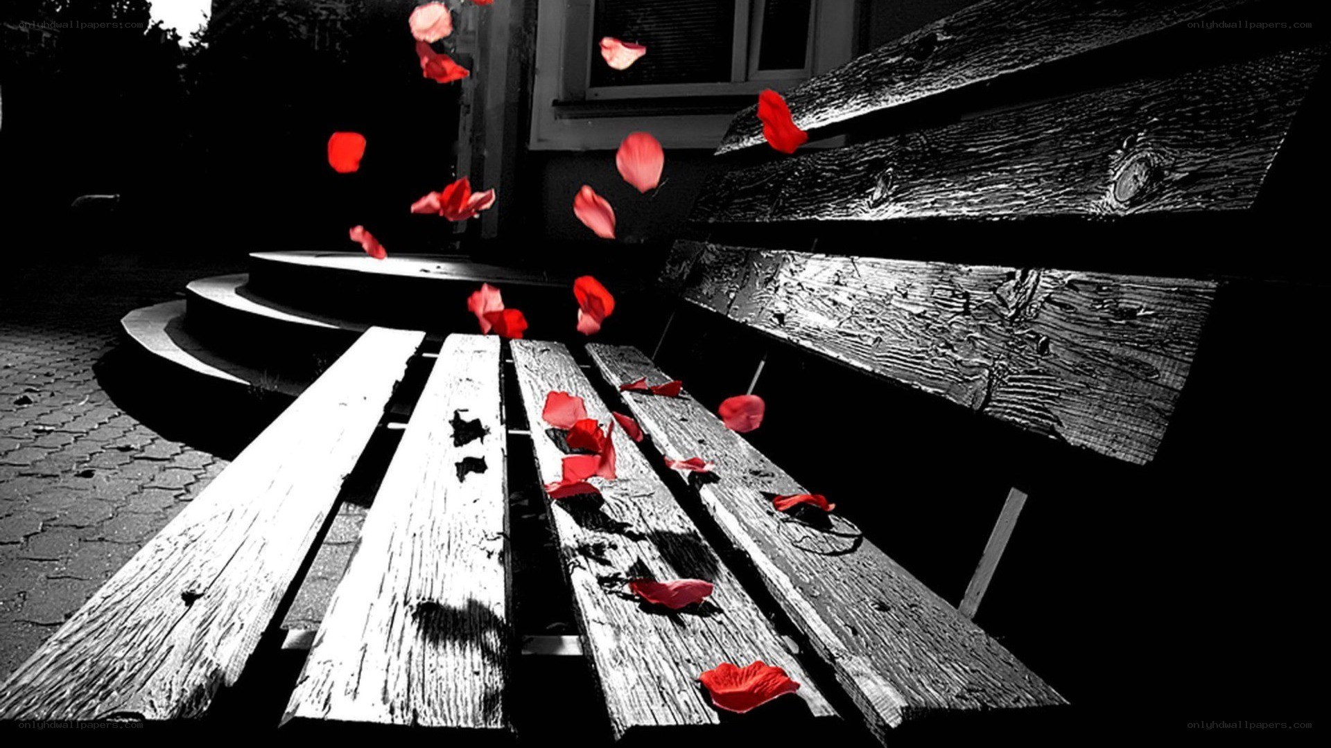 Red petals on a wooden bench