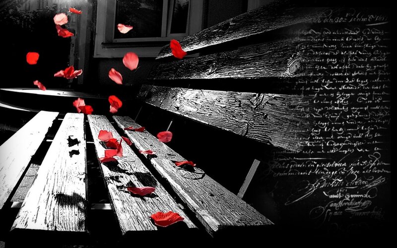 Red petals on wooden bench