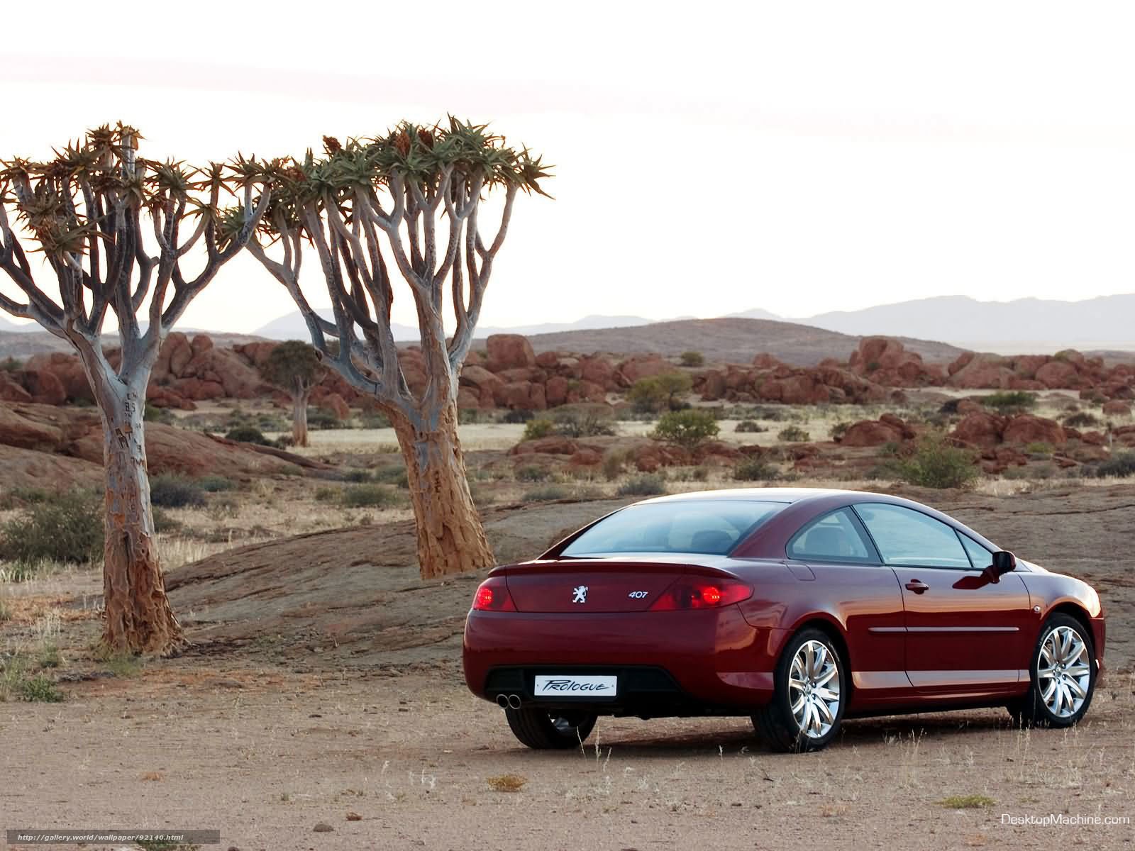 Red Peugeot 407 in desert