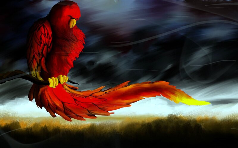Red Phoenix Bird — Dramatic, Digital Art, Branch