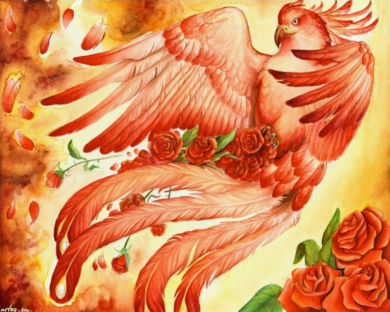 Red Phoenix Bird — Dramatic, Illustration