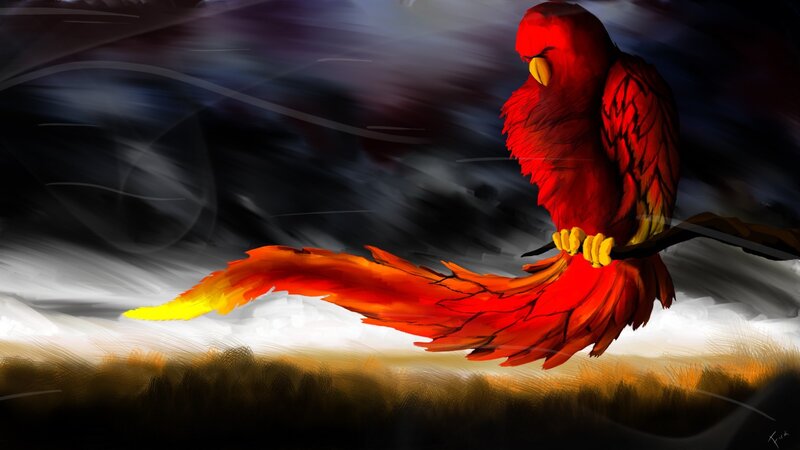 Red Phoenix Bird — Dramatic, Night, Digital Art, Branch