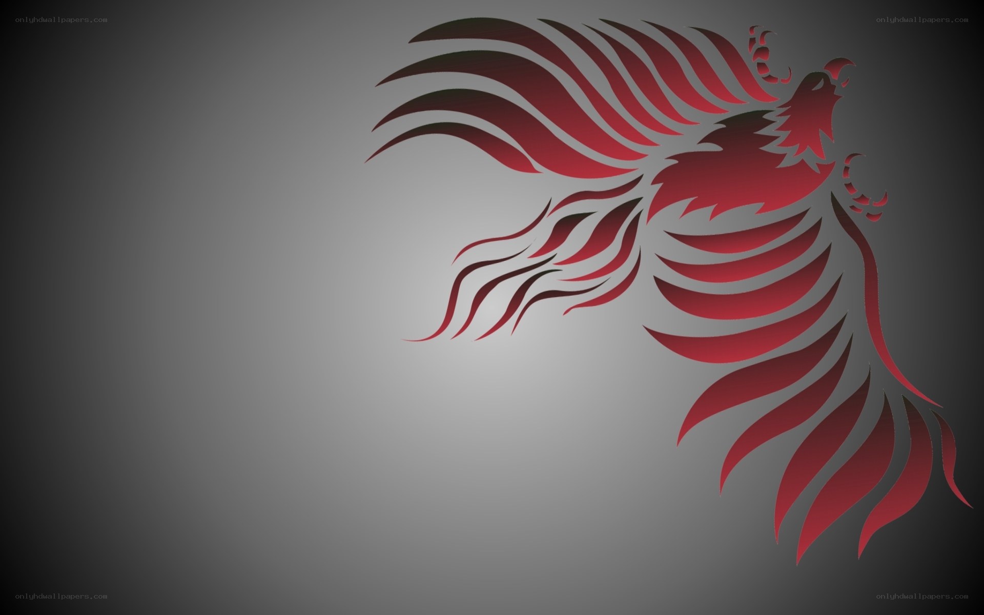 red phoenix design