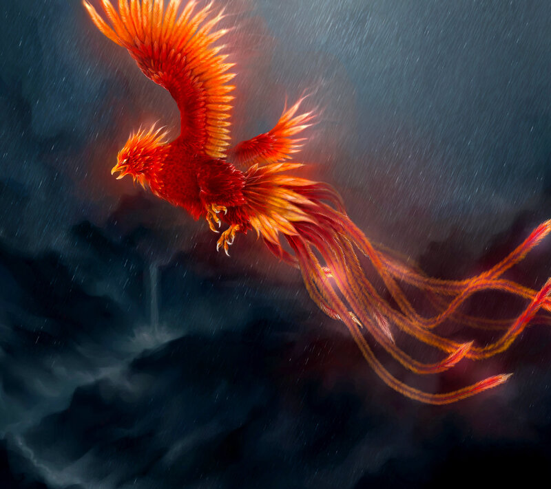 Red Phoenix in Flight — Dramatic, Night