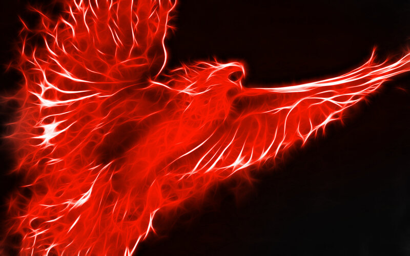 red phoenix in flight