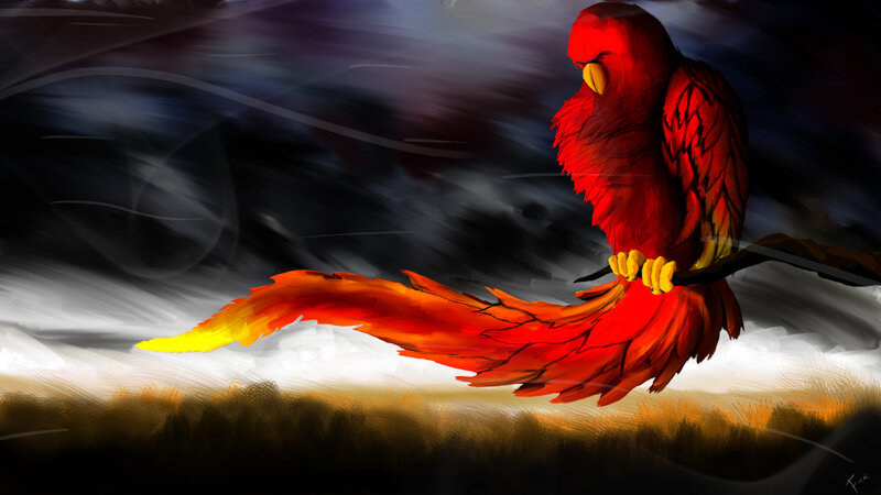 red phoenix on a branch
