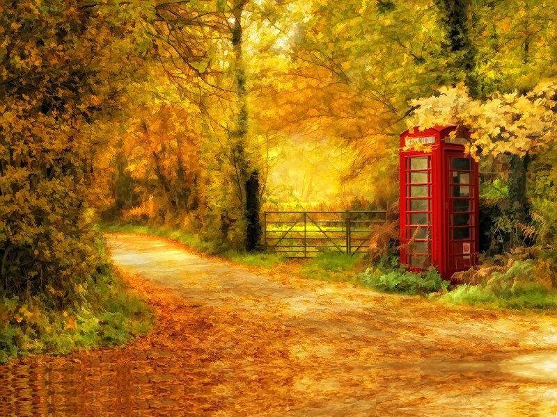 Red Phone Booth in Autumn