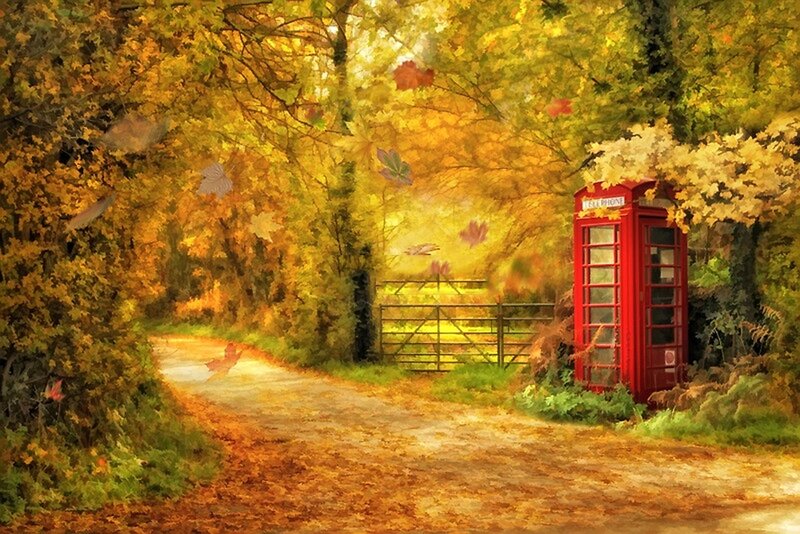 Red Phone Booth in Forest