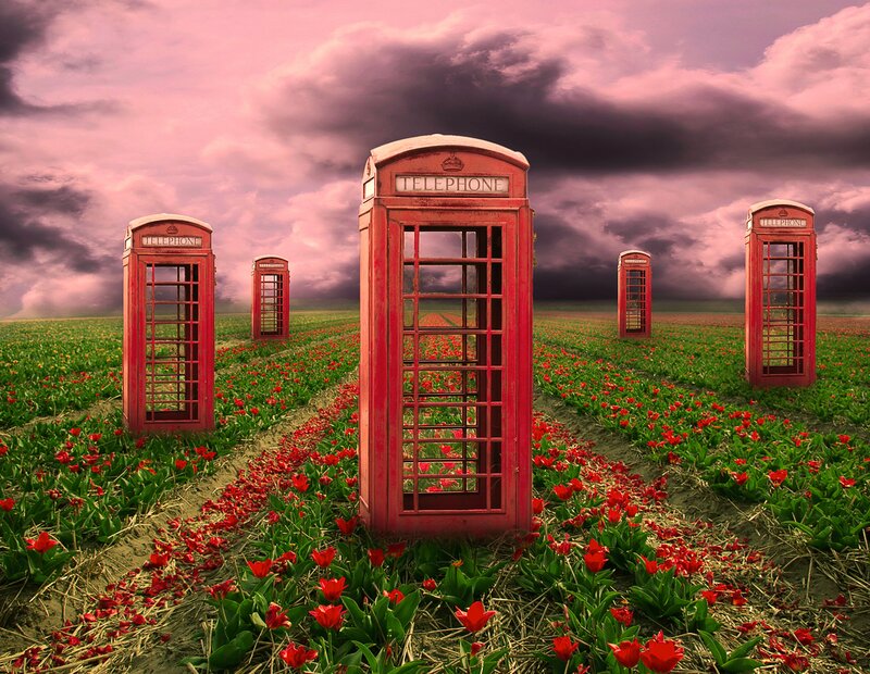 Red Phone Booths in Field
