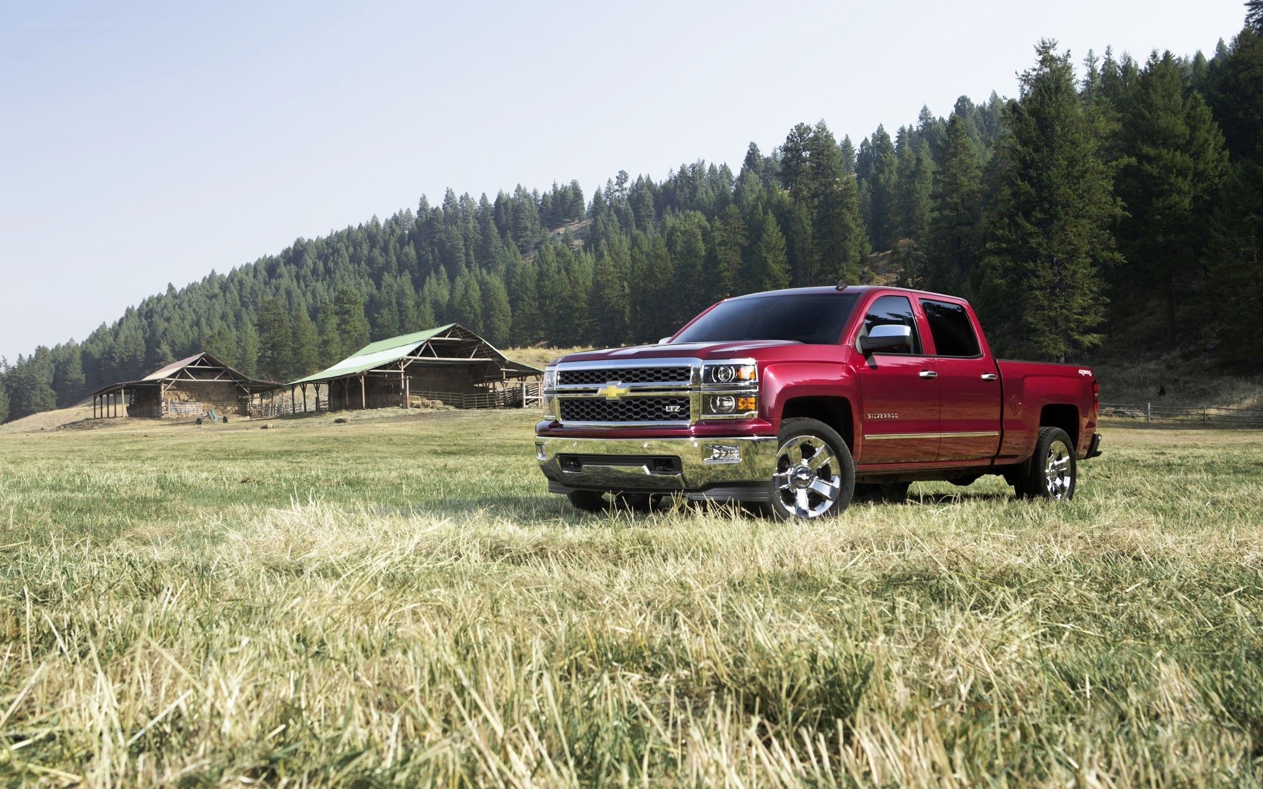 Red pickup truck in a field