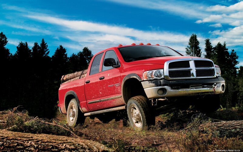 Red pickup truck in forest