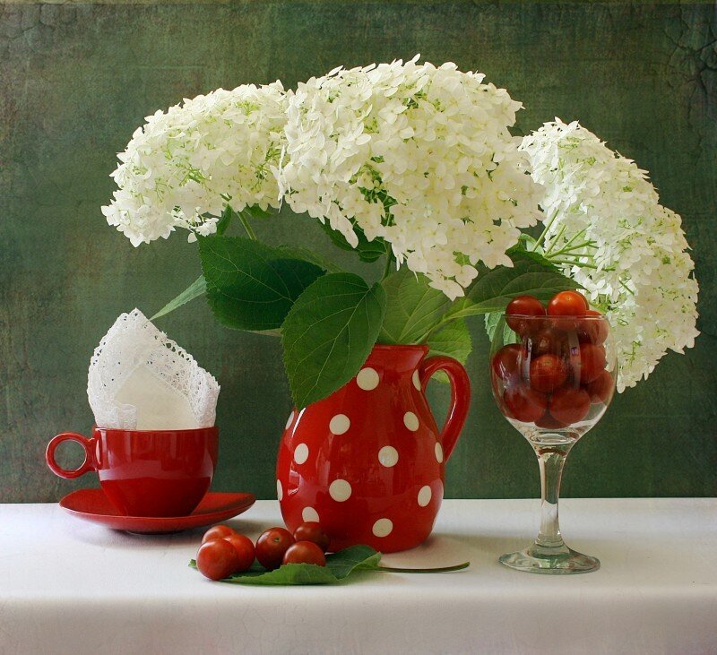 Red pitcher with white hydrangeas