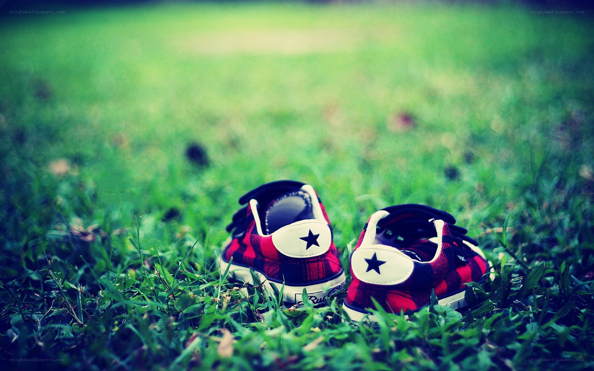 red plaid sneakers on grass