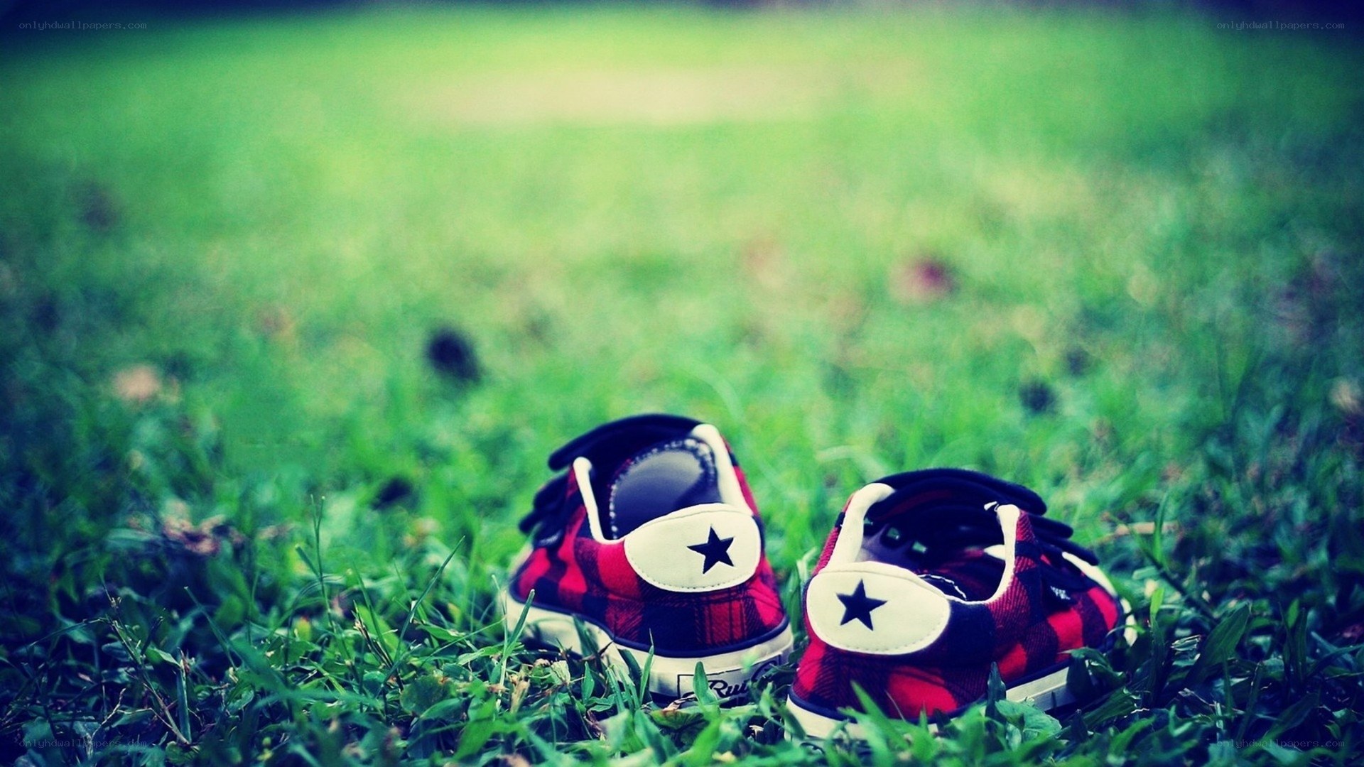red plaid sneakers on grass