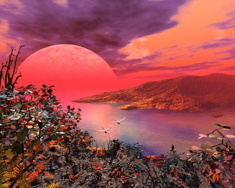 Red Planet Sunset — Dramatic, Digital Art, Birds