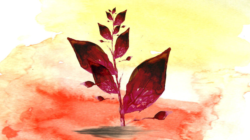 Red Plant on Watercolor