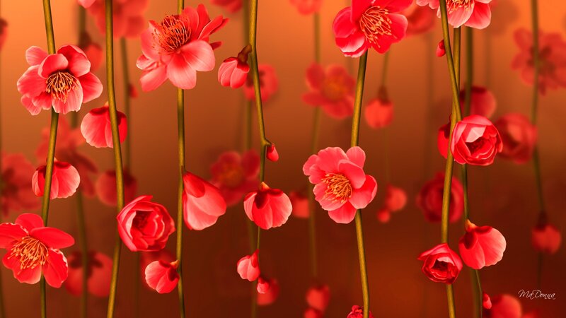Red Plum Blossoms