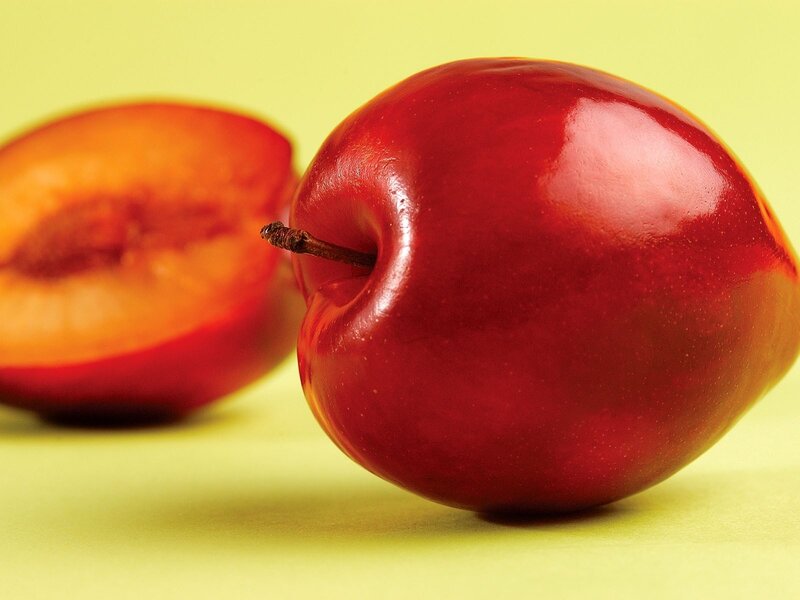 Red plum on yellow background