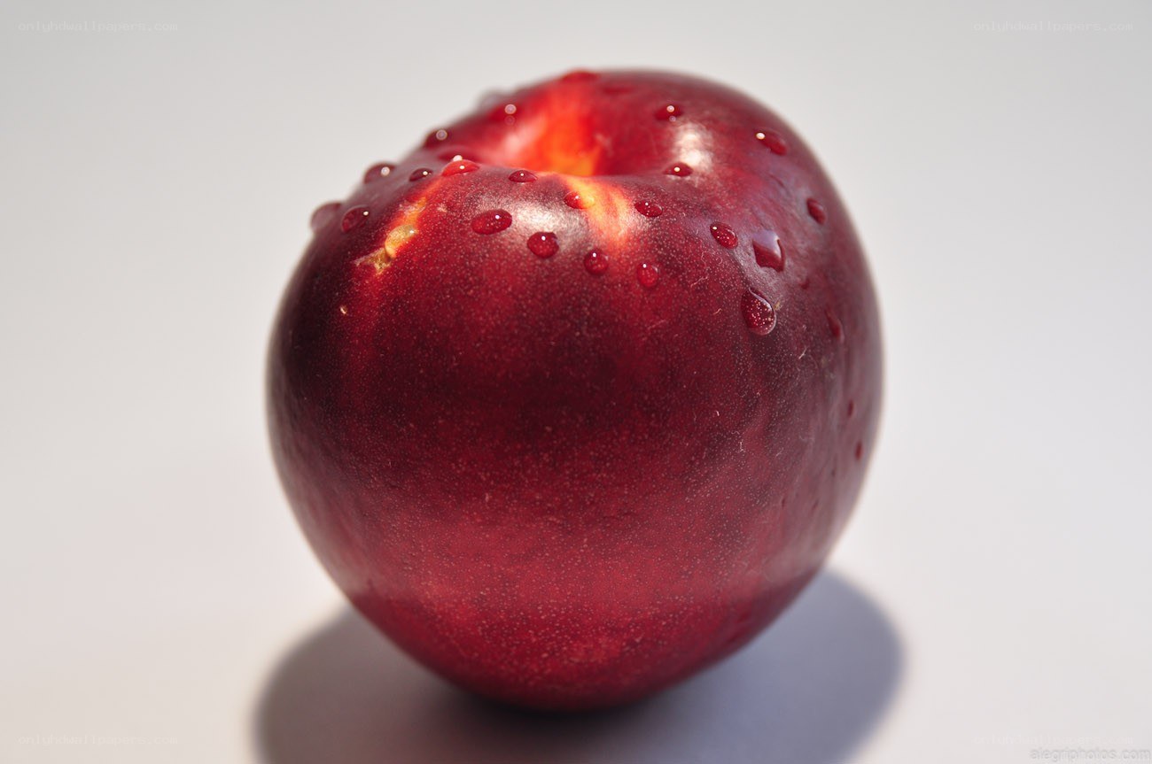 red plum with water droplets