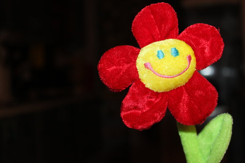 Red Plush Flower Toy
