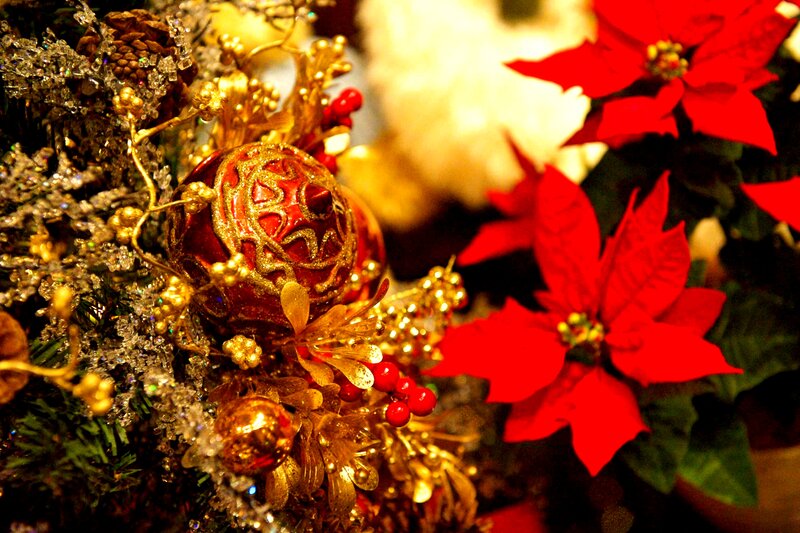 Red Poinsettia and Ornaments