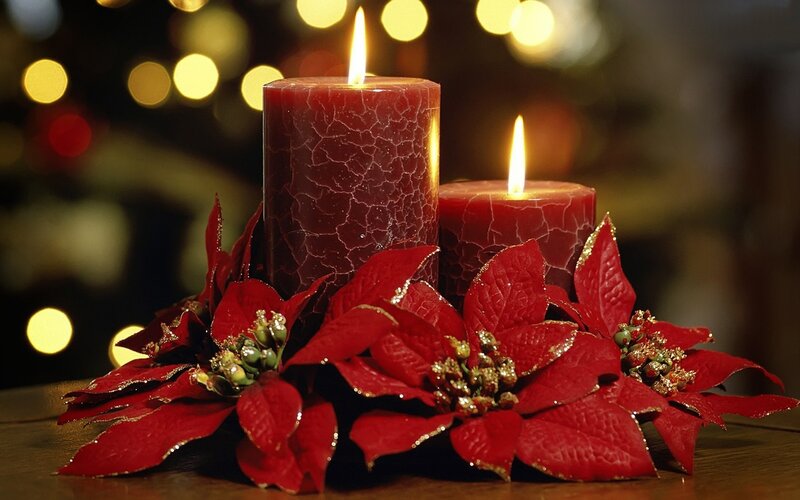 Red Poinsettia Candles